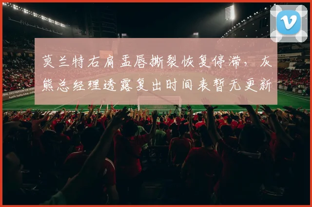 莫兰特右肩盂唇撕裂恢复停滞,灰熊总经理透露复出时间表暂无更新