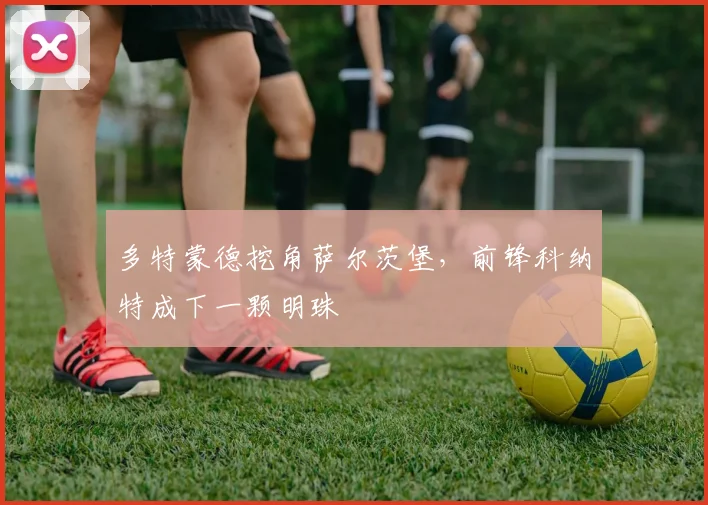 多特蒙德挖角萨尔茨堡，前锋科纳特成下一颗明珠