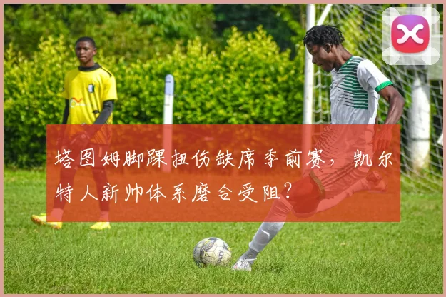 塔图姆脚踝扭伤缺席季前赛,凯尔特人新帅体系磨合受阻?